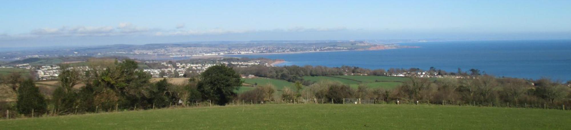 Pear Tree Ferienhaus Teignmouth